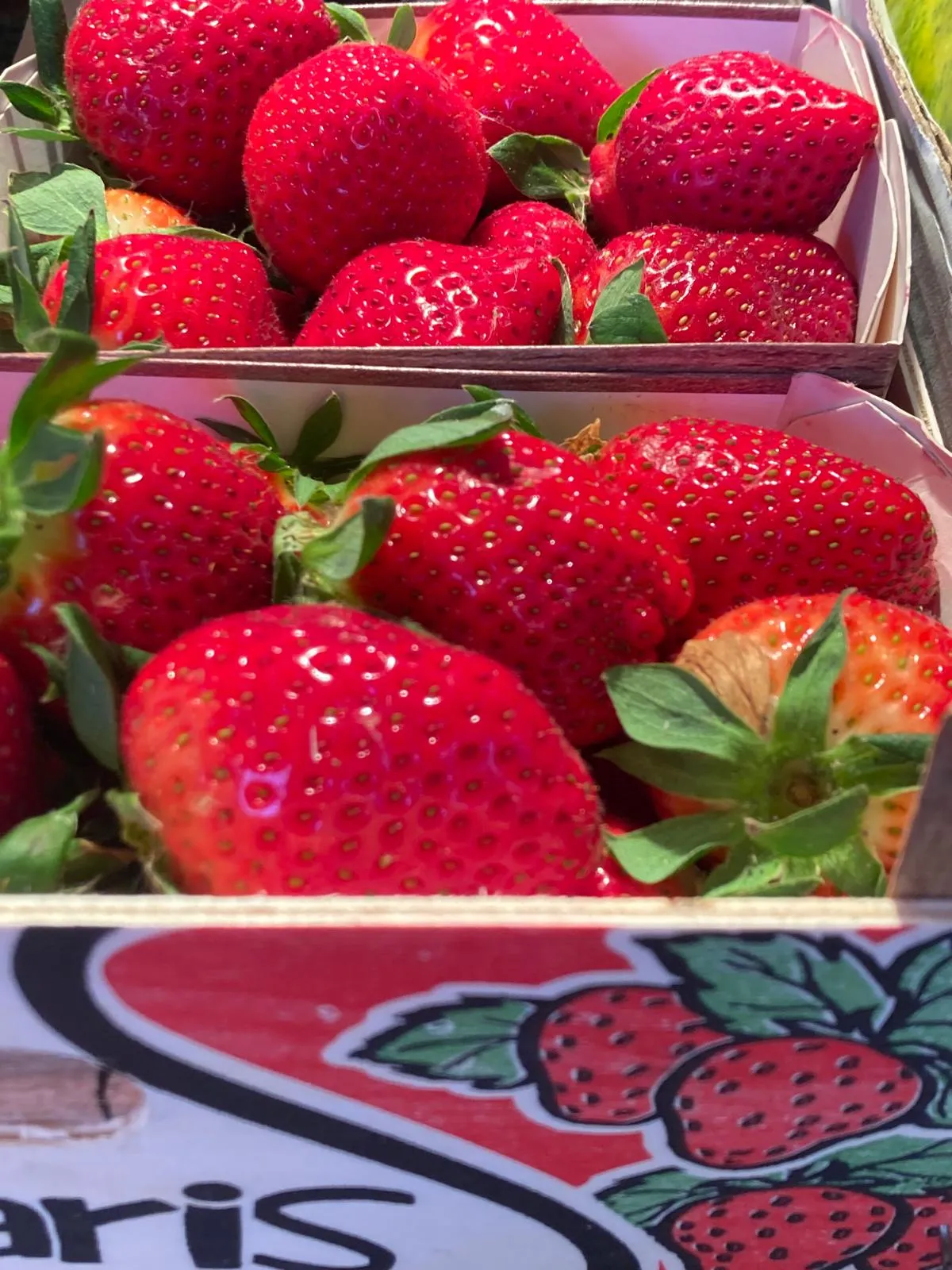 heidi-s-obstkorb-and-mario-s-wineworld angebote_bild